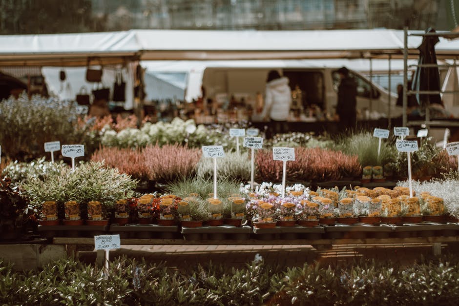 Lively flower market stall displaying vibrant blooms in Rotterdam, Netherlands.