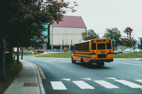 A yellow school bus driving on a tree-lined urban street in autumn.