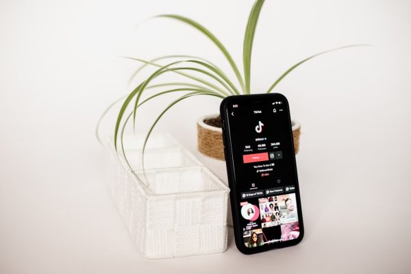 Influencer Services - Marketing Agency Singapore