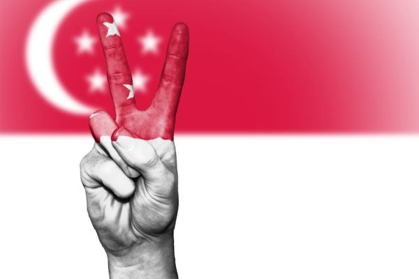 A hand painted with the Singaporean flag makes a peace sign against a flag background.