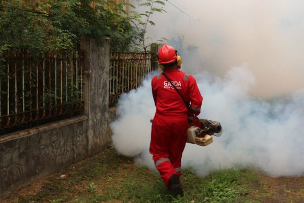 A pest control worker fogging in an outdoor space with smoke to eliminate pests.