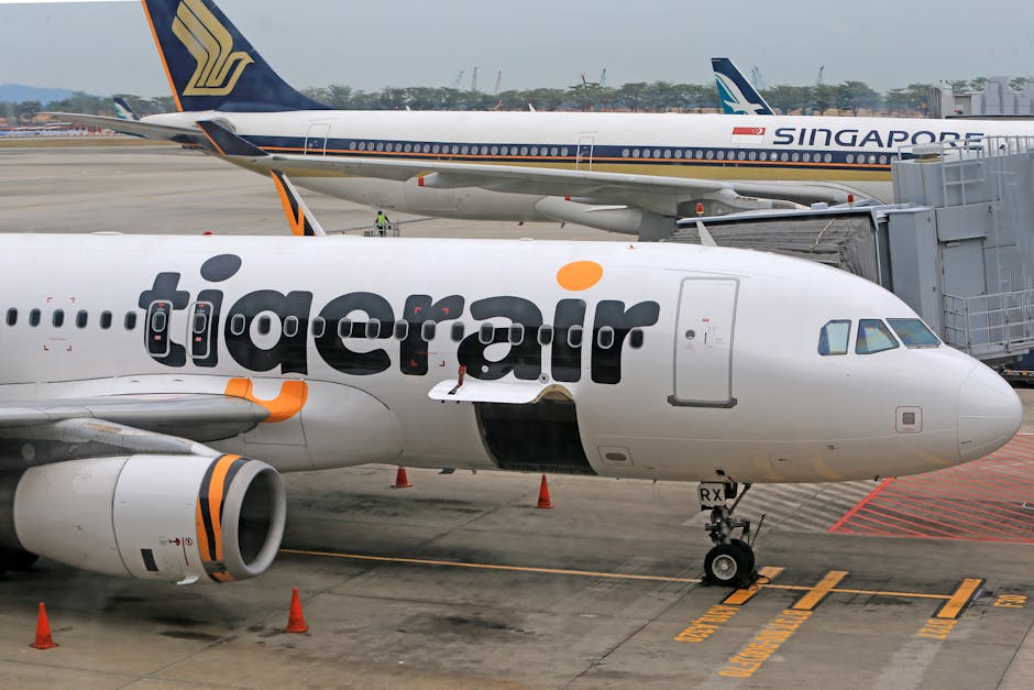 Close-up of Tigerair plane parked at airport gate with Singapore Airlines plane in the background.