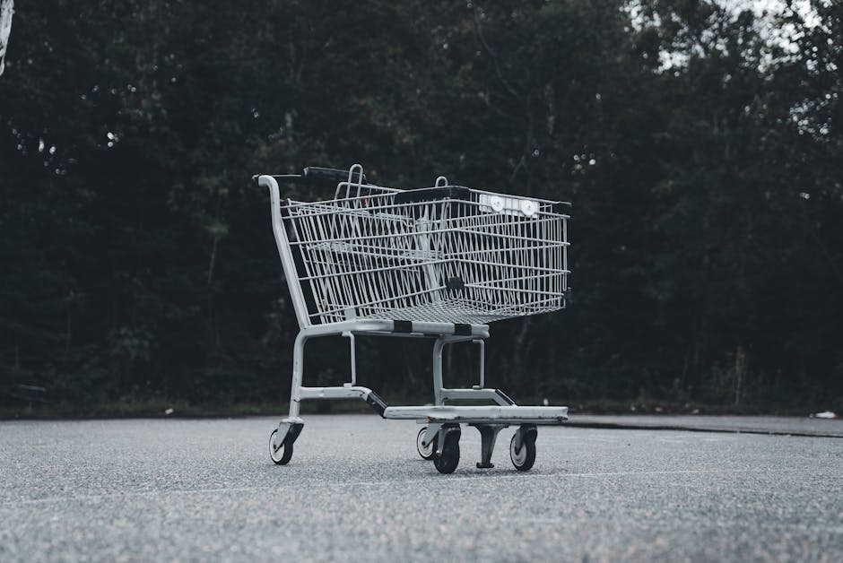 A lone shopping cart sits abandoned on a deserted street with a dark forest backdrop.
