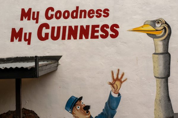 Man reaching for a goose statue with text.