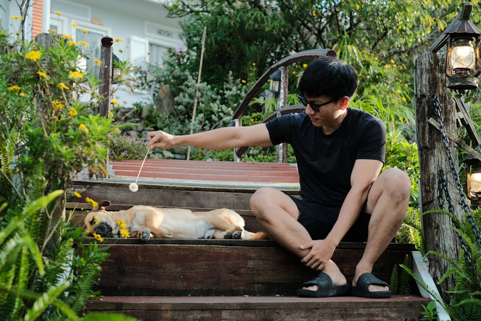 A man enjoys a sunny day outdoors with a sleeping dog on wooden steps surrounded by lush greenery.