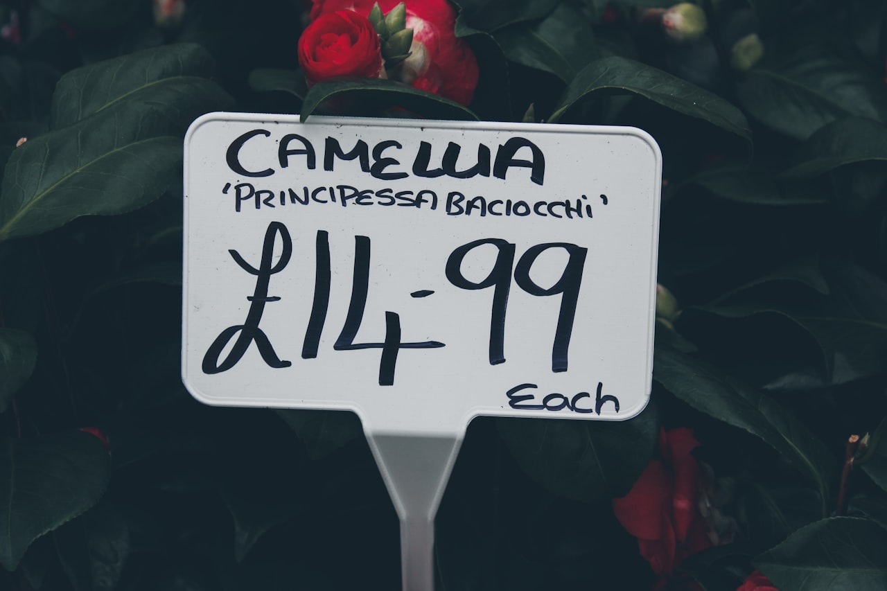 How to Audit Canonical Tags on Your Site — Canonical Tags in SEO: What They Are and How to Use Them Correctly