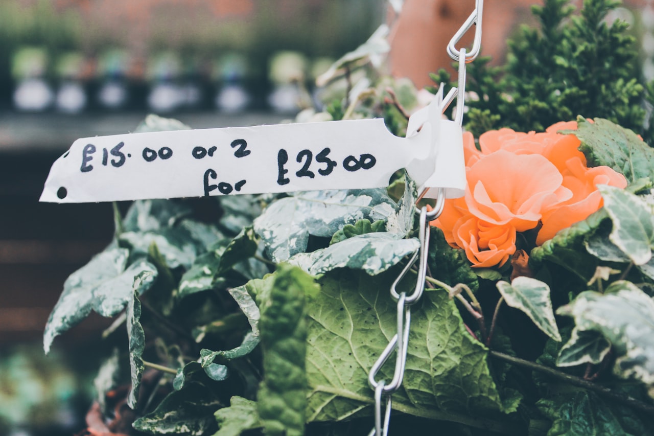 Implementing Your Competitive Pricing Strategy — Competitive Pricing Strategy: Price Against Rivals Without a Race to the Bottom