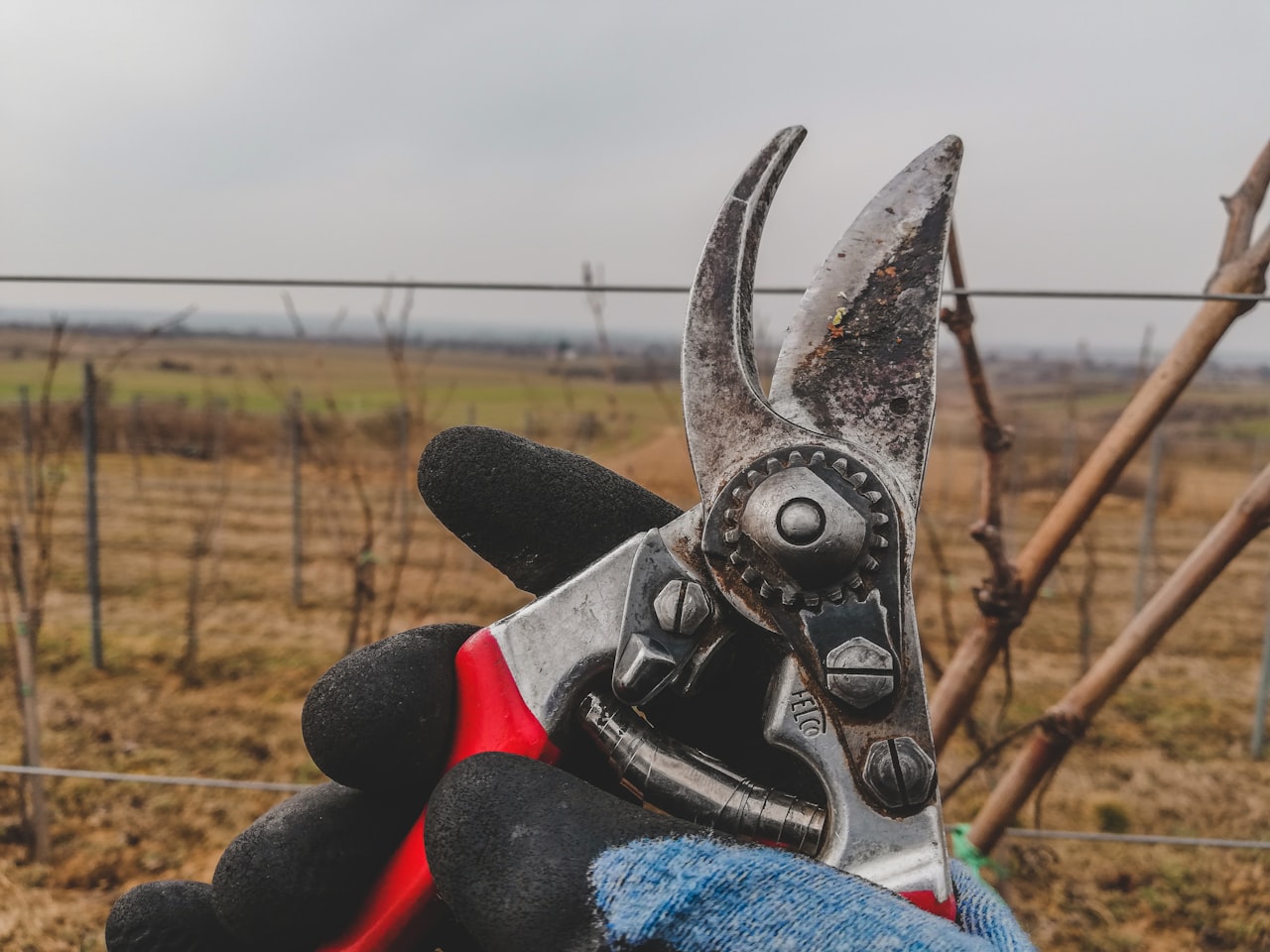 Identifying Pages to Prune — Content Pruning: Remove and Consolidate Underperforming Pages