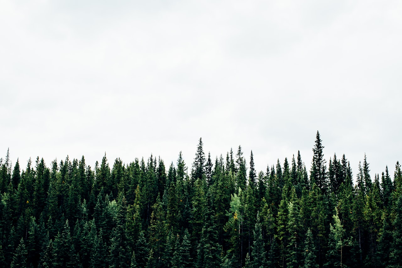 Choosing Topics That Stay Relevant — Evergreen Content: How to Create Articles That Drive Traffic for Years