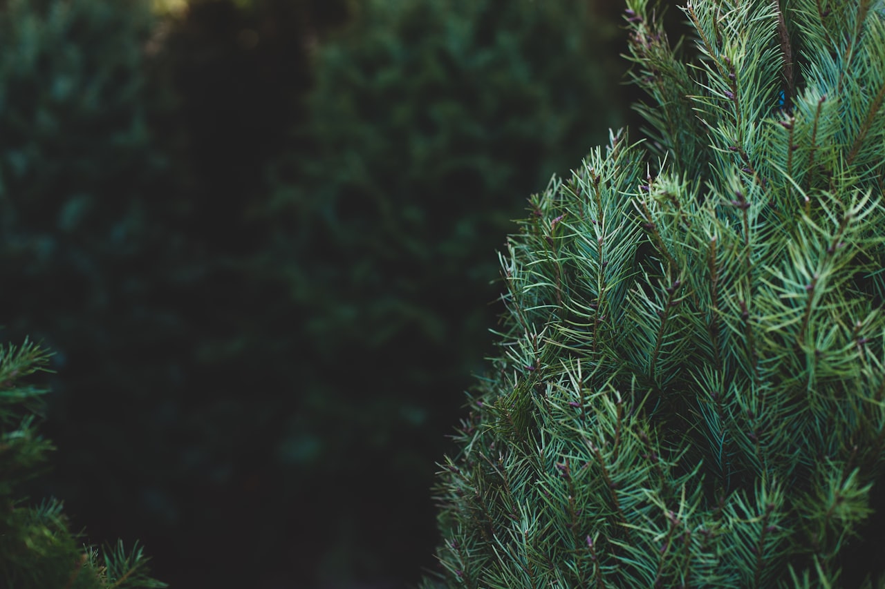 Evergreen Formats That Work Best — Evergreen Content: How to Create Articles That Drive Traffic for Years