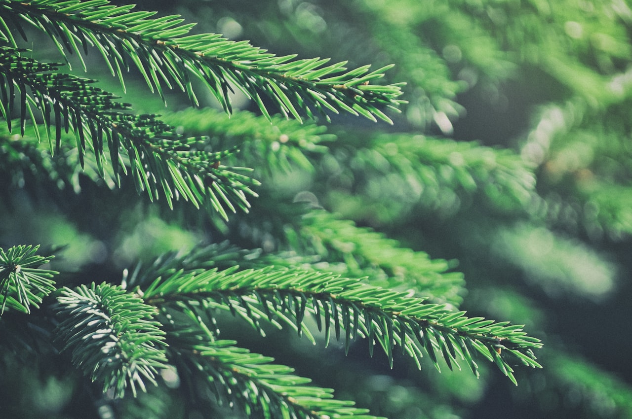 Measuring Evergreen Content Performance — Evergreen Content: How to Create Articles That Drive Traffic for Years