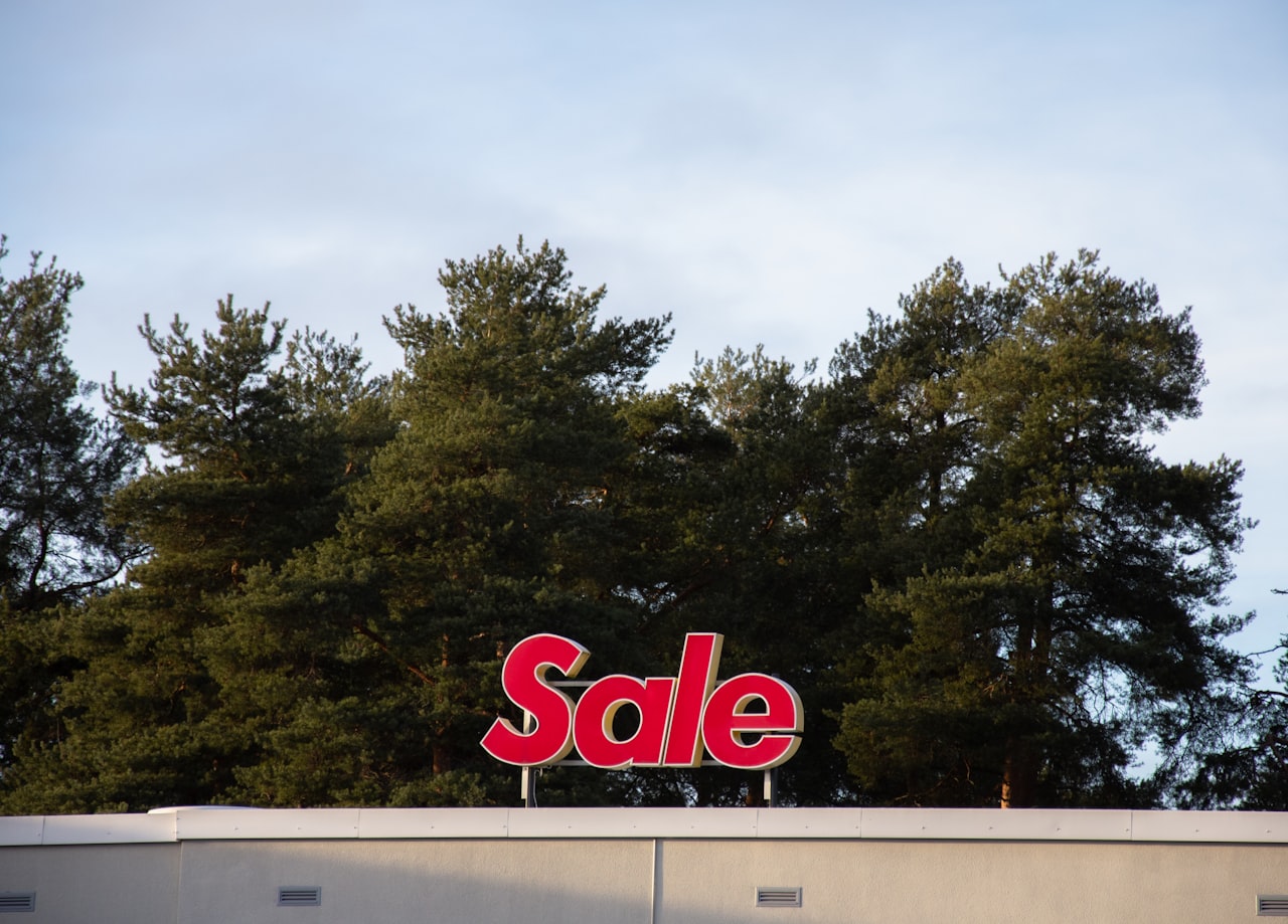 Promotion and Communication Timeline — Flash Sale Strategy: Plan and Execute Sales Events That Drive Revenue