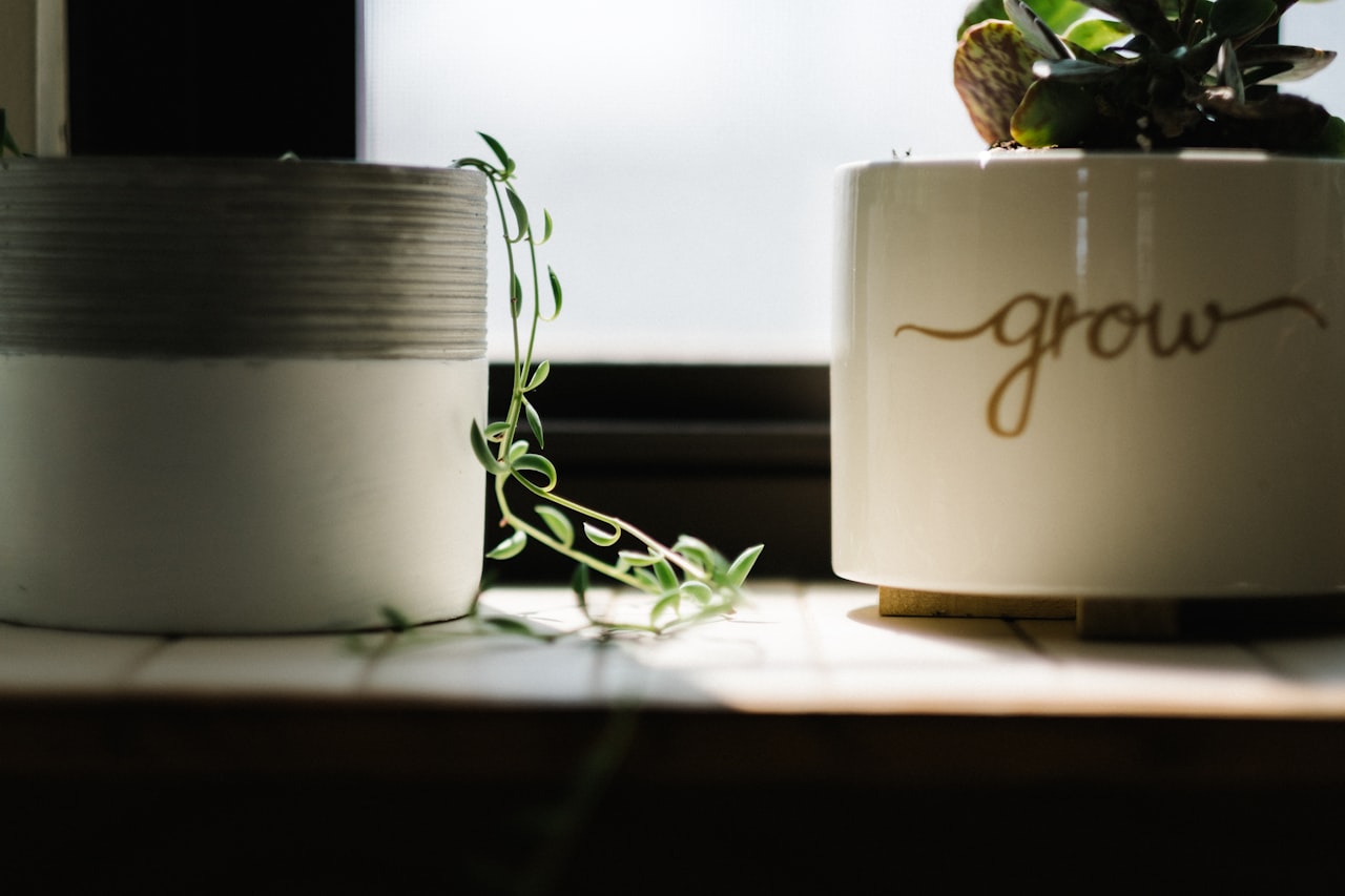 E-Commerce Solutions and Support — Grow Digital Singapore: E-Commerce and Digital Marketing Support for SMEs