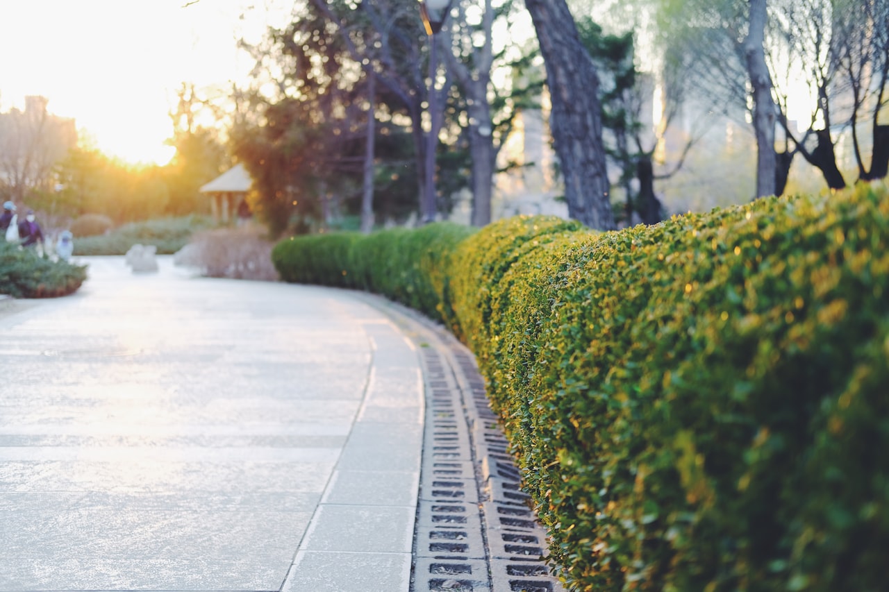 Reputation Management and Reviews — Marketing for Landscaping: How to Get More Clients in Singapore in 2026