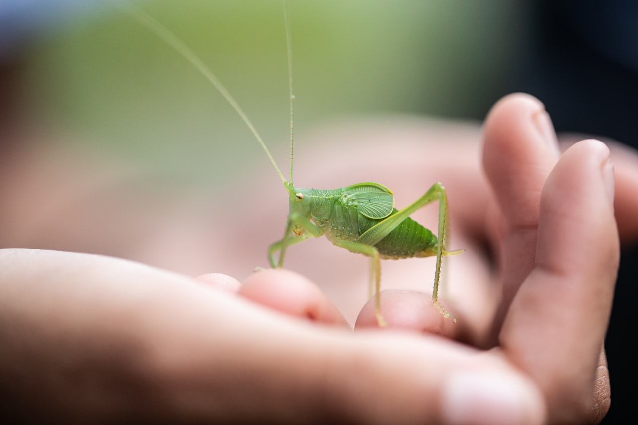 Content Marketing: Pest Guides That Generate Leads — Pest Control Marketing in Singapore: A Complete Strategy Guide for 2026