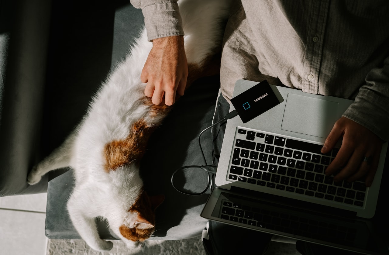 Building a Pet Parent Community — Pet Business Marketing in Singapore: A Guide for Groomers, Shops and Vets