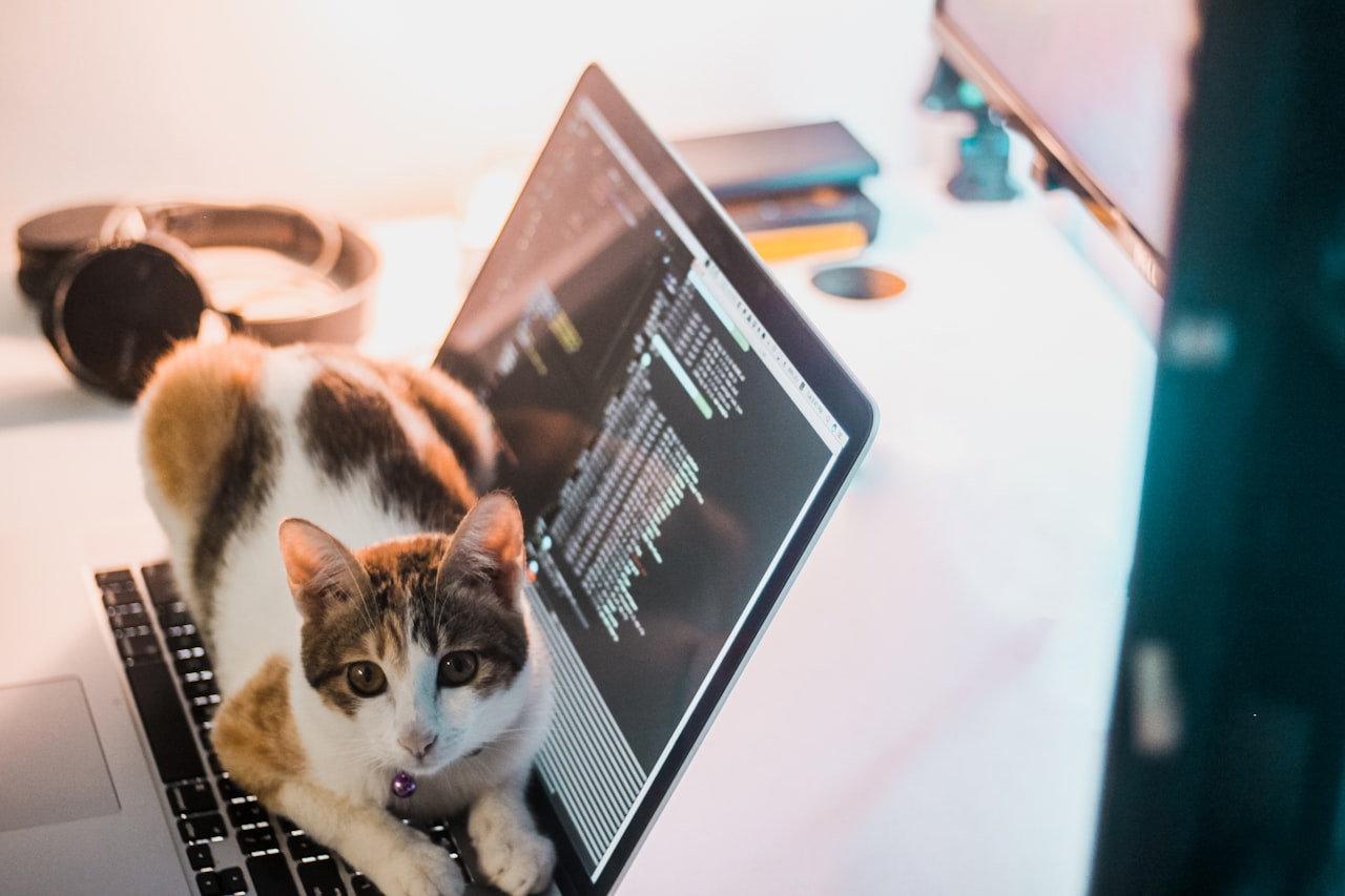 Email Marketing and Loyalty Programmes — Pet Business Marketing in Singapore: A Guide for Groomers, Shops and Vets