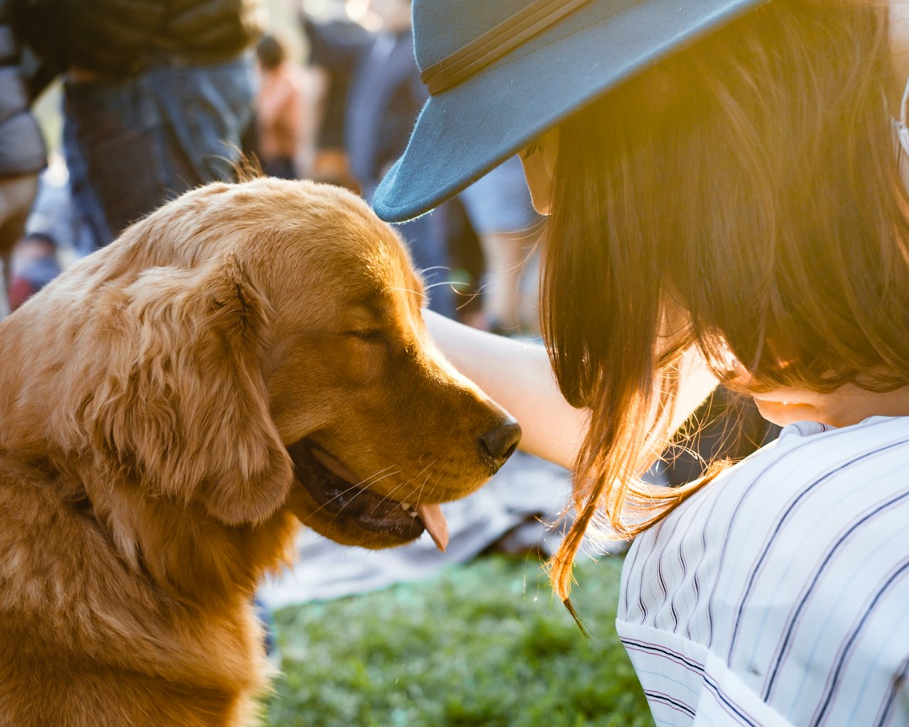 Content Strategy for Pet Audiences — Marketing to Pet Owners in Singapore: A Growing High-Spend Segment