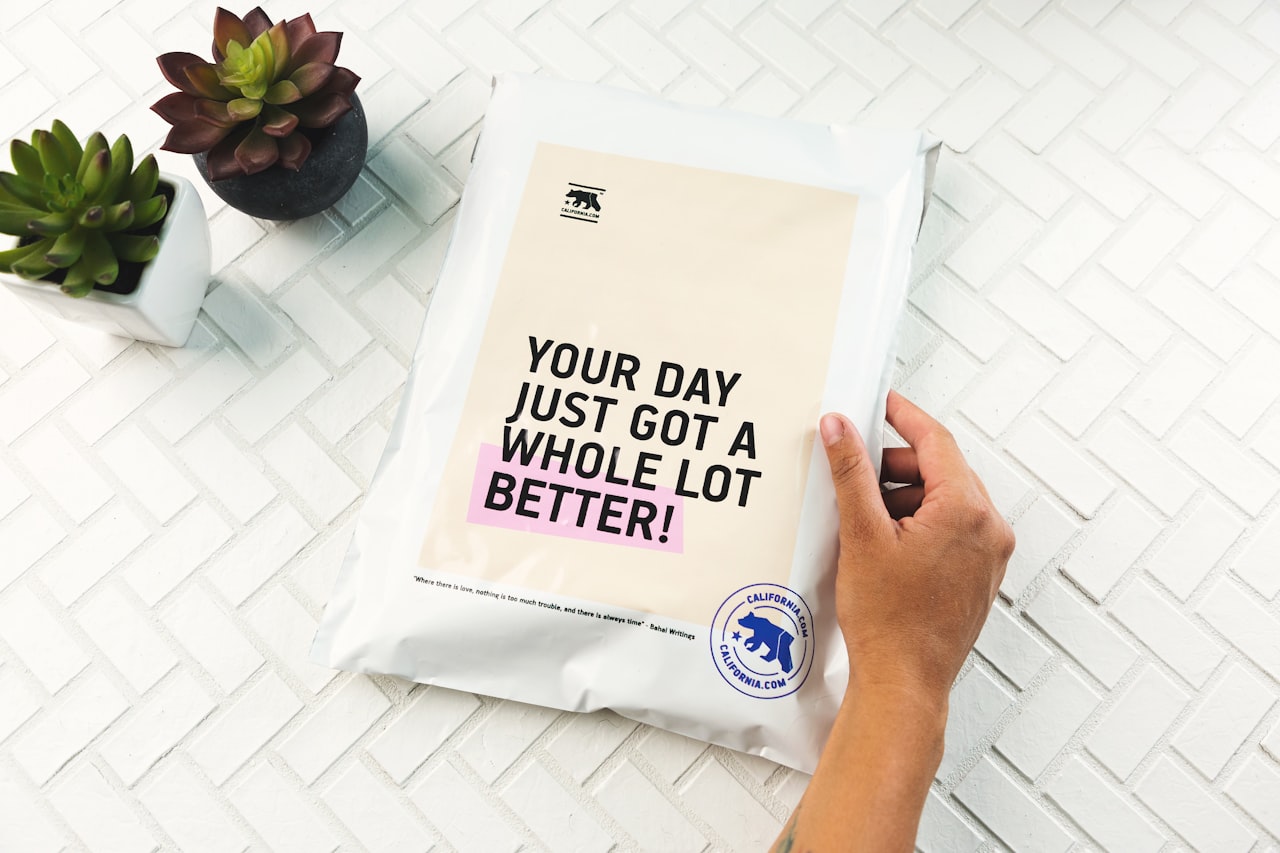 Long-Term Growth Strategy — Post-Launch Marketing: Sustain Momentum After the Buzz
