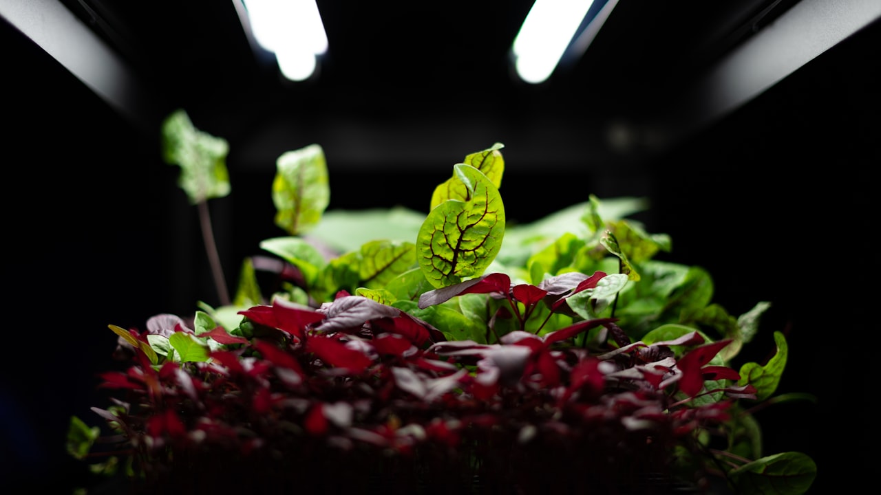 Measuring PLG Success — Product-Led Growth: Let Your Product Drive Acquisition