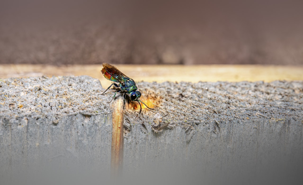 Content Strategy That Attracts and Converts — SEO for Pest Control: How to Rank Your Business in Singapore in 2026