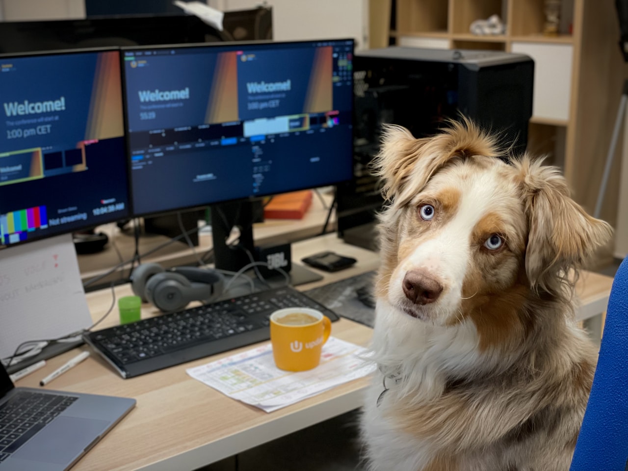 Keyword Research for Pet Businesses — SEO for Pet Industry: How Vet Clinics, Pet Shops, and Groomers Can Rank in Singapore