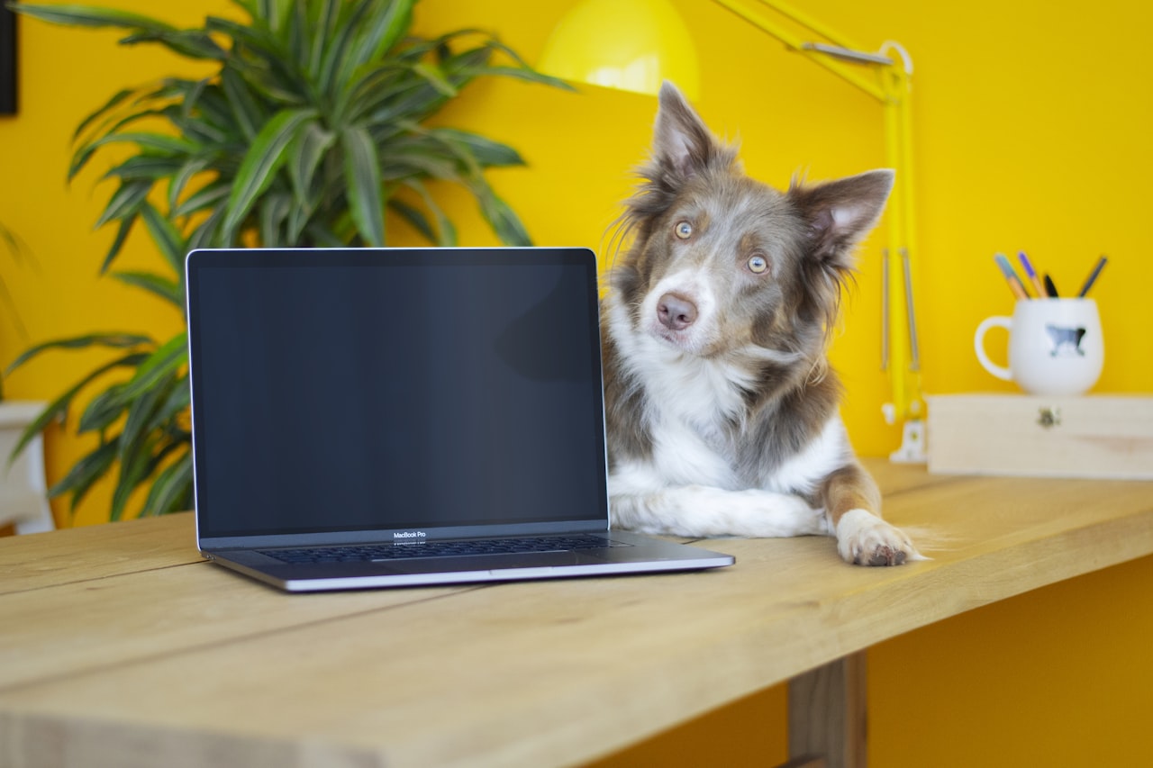 Measuring Pet Industry SEO Results — SEO for Pet Industry: How Vet Clinics, Pet Shops, and Groomers Can Rank in Singapore