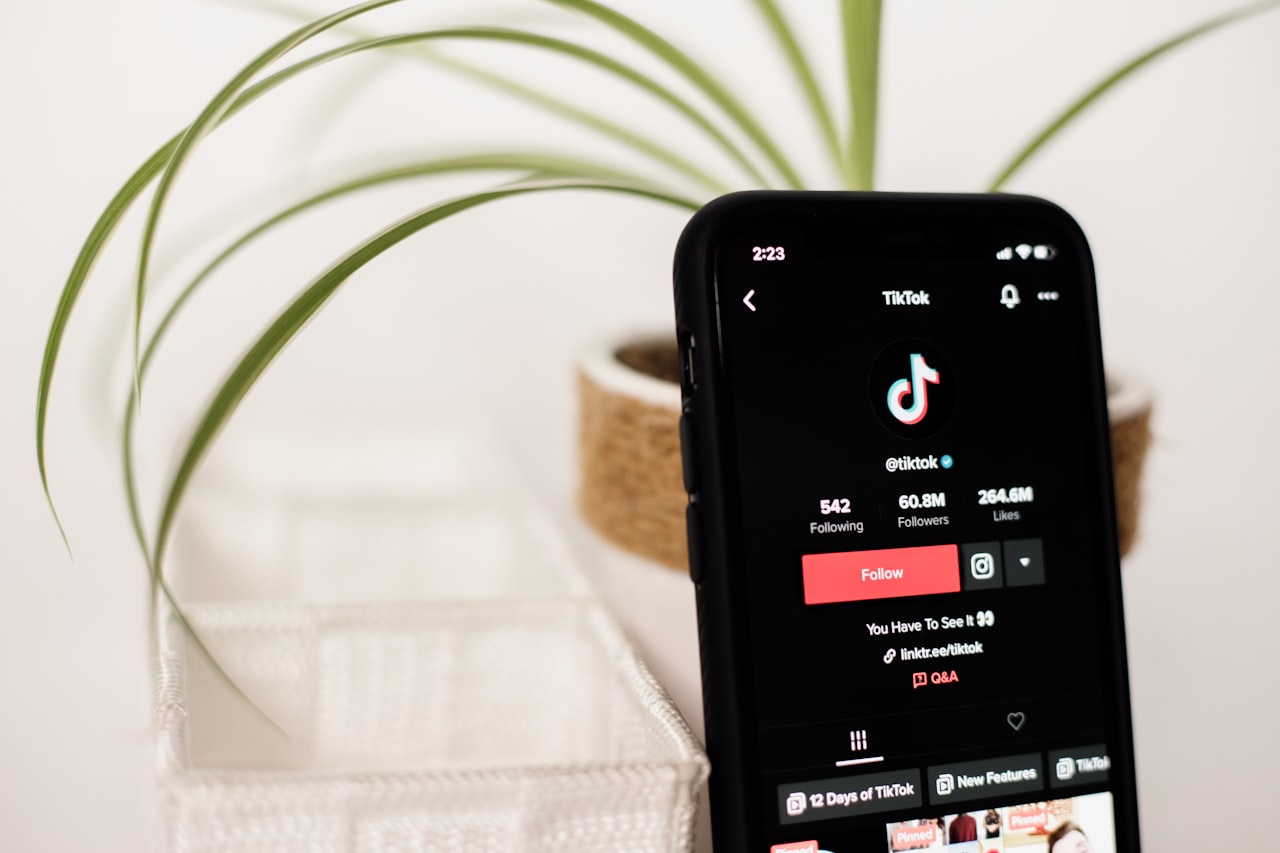 Content Formats That Perform on TikTok — TikTok Influencer Marketing in Singapore: Finding and Working with TikTok Creators