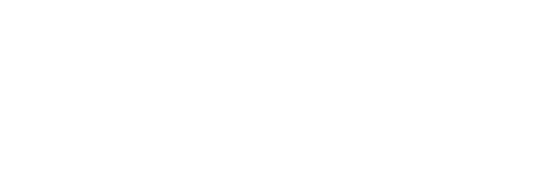 Solmi.ai logo