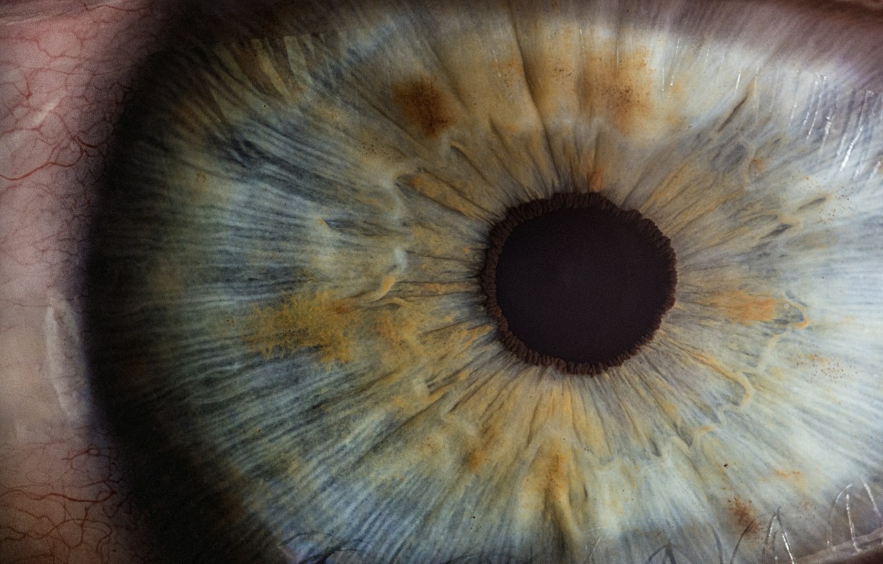 The most expensive eye care keywords in Singapore — Eye Clinic Google Ads CPC in Singapore: October 2026 Data
